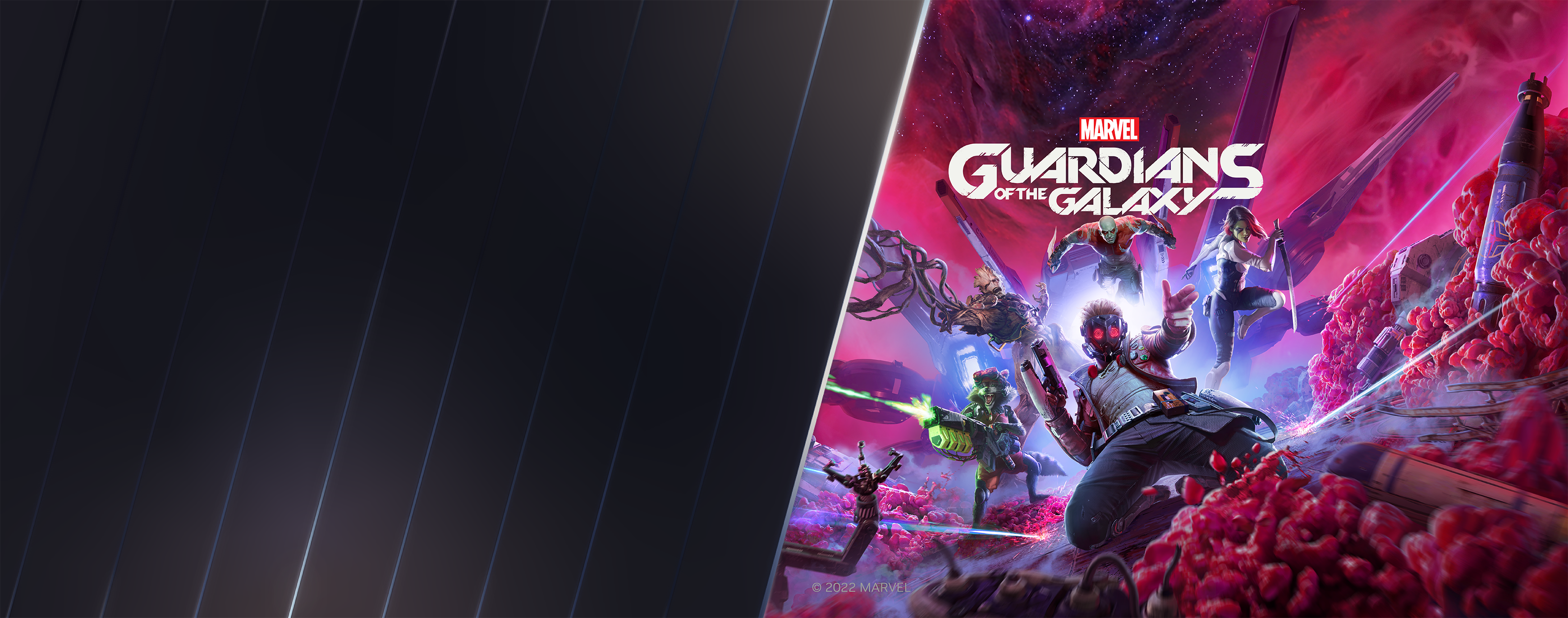 LP_Guardians_of_the_Galaxy-bundle_1920w_banner_1920x1322.png