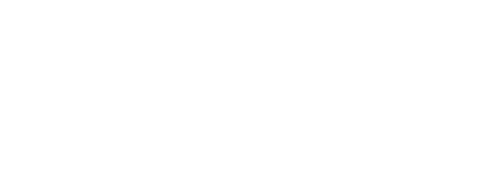 html_5060Ti_PRO_singleslot_icon.png